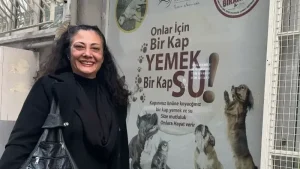 Bir tas su, bir can: Sokak hayvanları için hayat kurtaran çağrı