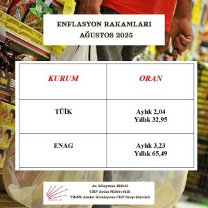 CHP AYDIN MİLLETVEKİLİ SÜLEYMAN BÜLBÜL: “TÜİK ELİYLE MEMURUN, EMEKLİNİN MAAŞINDAN ÇALINIYOR”