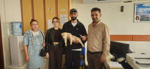 Nazilli’de evden kaçan kedi, Kırsal İsabeyli Mahallesi Kampüs yakınlarında bulundu.