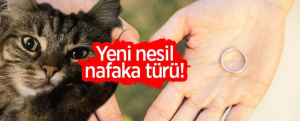 Kedinin velayetini boşanma aşamasındaki eşine bıraktı!