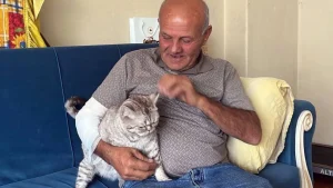 Kolunu ısıran köpeğe mama bırakıp hastaneye giden taksici: “Hayvan Sevgimden vazgeçemem” dedi.